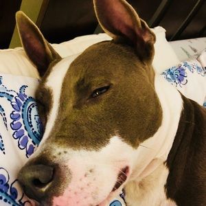 Meet your Posher, Angela